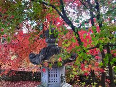 食後はタクシーで北野天満宮へ

京都の紅葉の定番ですね
