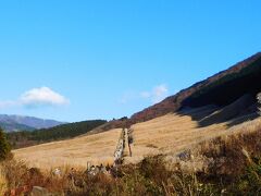 箱根　仙石原。ほぼ半世紀ぶり。昔は、何もない原っぱだったが、今は遊歩道ができている