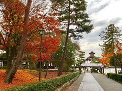 バスで同志社前下車

相国寺に向かいました

散りもみじが積もってフサフサでした