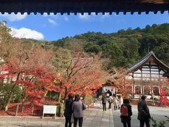 次は京都の紅葉の定番中の定番  永観堂

どこか一つだけ見たい人には必ずここをオススメします

何度も行ってますが

見頃過ぎていても

やはりいいですね