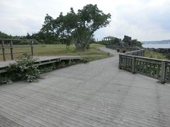 桜島港近くの｢桜島溶岩なぎさ公園｣を散策していると‥