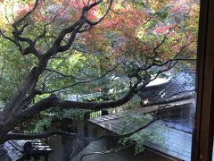 窓から眺め・紅葉が綺麗でした