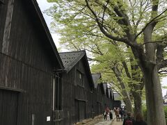 食事後に『山居倉庫』を散策。
酒田観光でココは外せませんよね。
酒田が繁栄した当時の様子を垣間見ることができます。