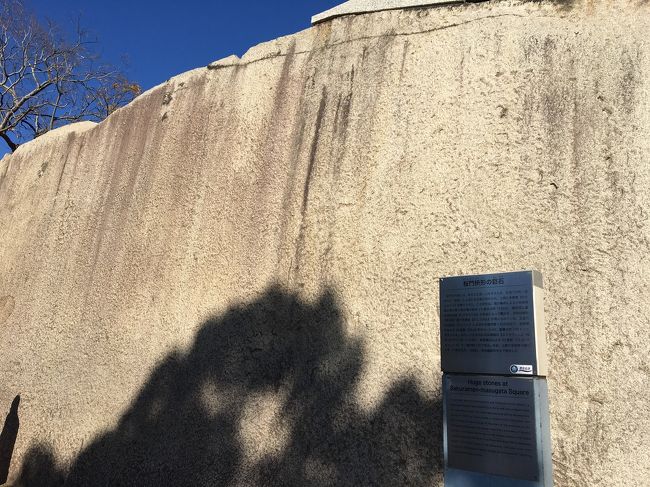 石垣の石が巨大すぎて驚く。ピラミッドの謎みたいに、どうやって運んだんだろうかと興味津々。