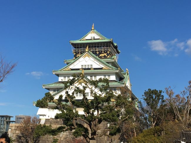 天守閣<br />上には登りませんでした。ガッカリすると聞いていたけど、来てみて良かったです。石垣や周りの建造物を見るのも楽しい！