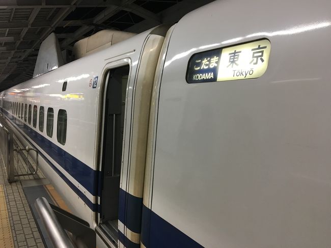 大阪・梅田駅エリアのショッピングビルをフラフラ見て回り、新大阪駅へ。<br />お土産を買ってこだまに乗車。