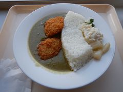 レストハウスでダムカレーをいただく。
ほうれん草入りのルーの色が黒部湖の色とそっくり。
ちなみにカツは流木、ポテトサラダはダムからの放水を表しているそう。