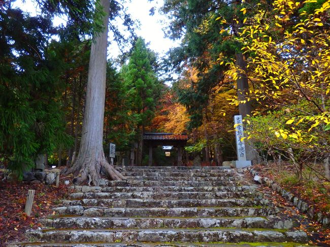この地は御所から４０キロメートルほど離れた山中ですが、都造営に欠かせない木材の産地として重要な役割を果たしてきました。<br />かつて禁裏領とされていたのはそのためなのでしょう。<br />