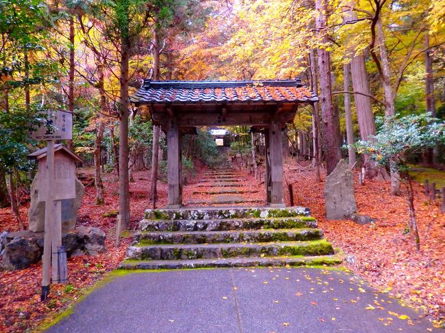 ずっと遠くに見えるのは勅額門。<br />参道は秋の装いにあふれています。