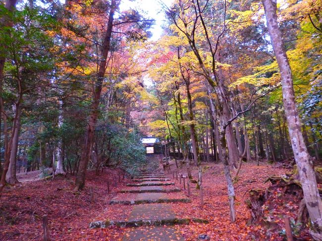 人の姿のない静かな参道を行きます。<br />先客は京都市内からタクシーで来られたシニアのカップル。<br />帰り間際には男女３名のグループが来られただけでした。<br />