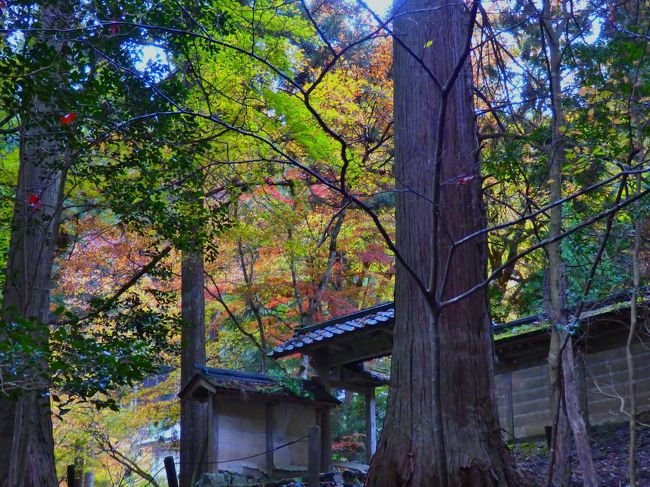 門の横から境内を覗きました。