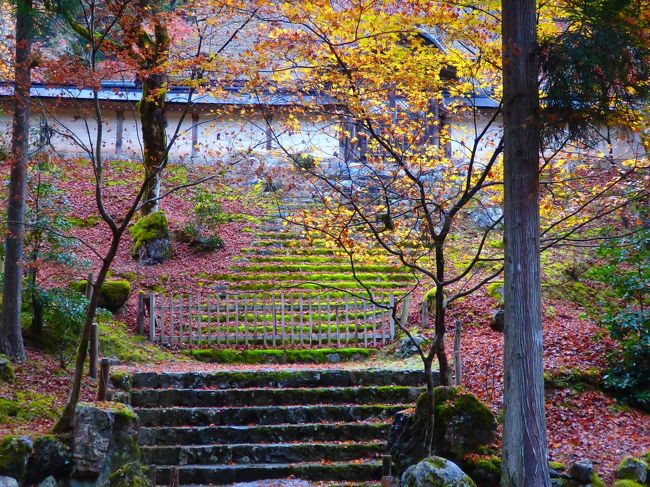 そして正面にあるのは伽藍を守る立派な土塀。