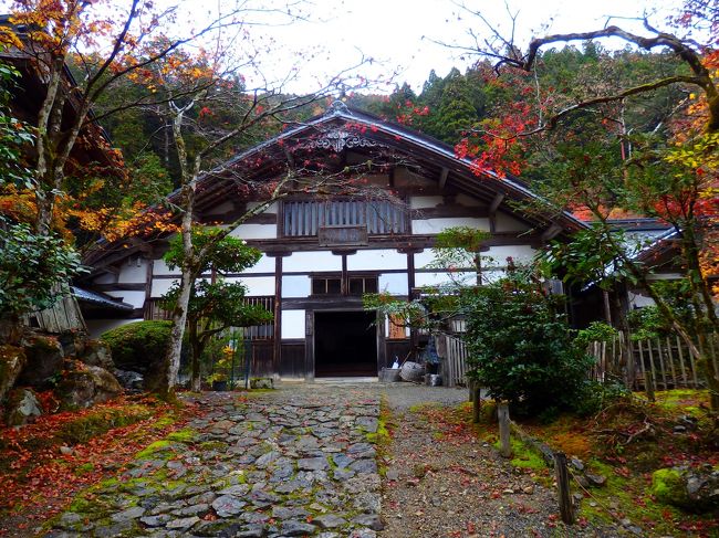 書院が姿を現わしました。