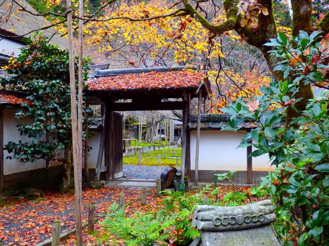 方丈の周りに広がる庭園の入り口。