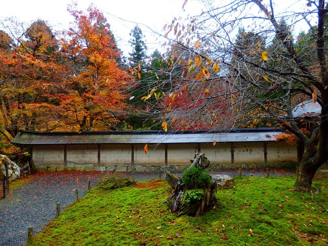 方丈に入りました。