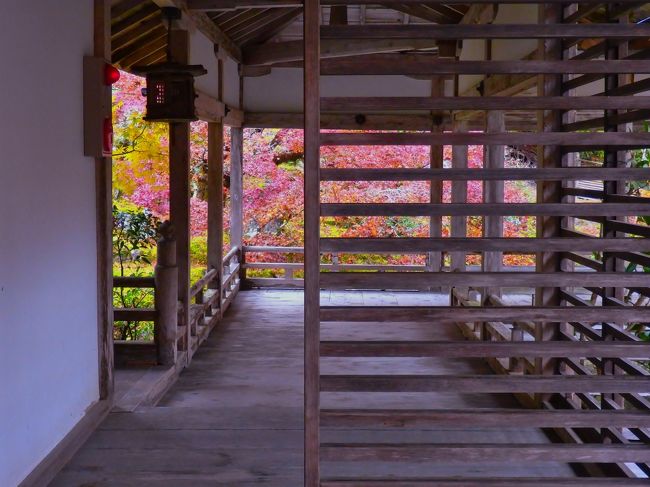 方丈の外廊下を進みます。