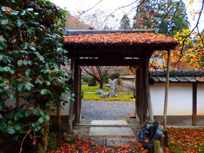 庭を歩きます。<br />