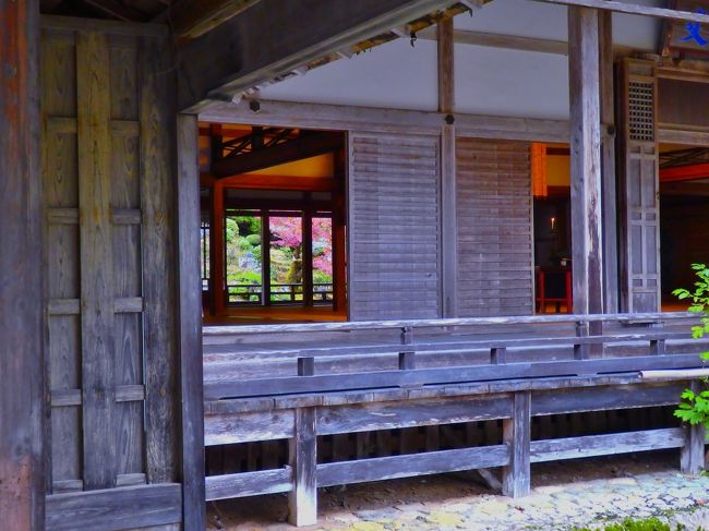 先ほどまでいた方丈。