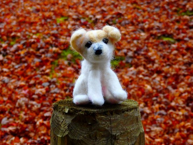 勅使門前でたたずむ小梅。