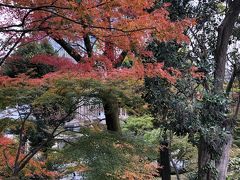 見附跡の通路横には紅葉が紅く染まって残っています。