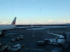 ほぼ定刻通りに新千歳空港に到着。思ったより天気は良さそうで一安心です。