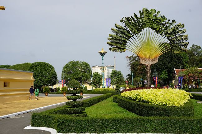 ●王宮<br /><br />芸術的な植物(笑)。<br />自然にこうなるのかな？