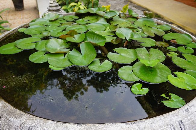 ●シルバーパゴダ敷地内＠王宮隣接<br /><br />魚は見当たらない…。<br />