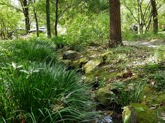 こちらは、皇居東御苑内にある雑木林。ここ、ほのぼのしてて好きー。
ということで、11時、皇居東御苑を出ました。