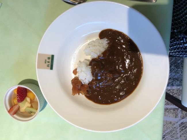 18 12月 日比谷公園そぞろ歩きと松本楼のカレービュッフェとクリスマスツリー 丸の内 大手町 八重洲 東京 の旅行記 ブログ By バロンさん フォートラベル