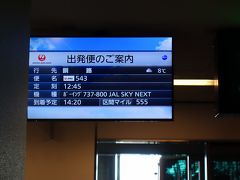 ＪＡＬどこかにマイルで釧路へ。普段はＡＮＡ利用のため、久しぶりの羽田第１ターミナル。機材はＢ７３７で後方席窓側を指定。
