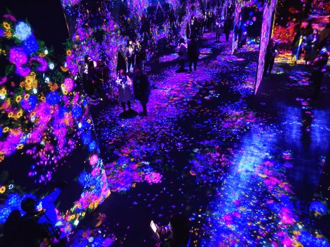 チームラボ ボーダレス お台場 時間を忘れてさまよう デジタルアートの世界 お台場 東京 の旅行記 ブログ By まーやんさん フォートラベル