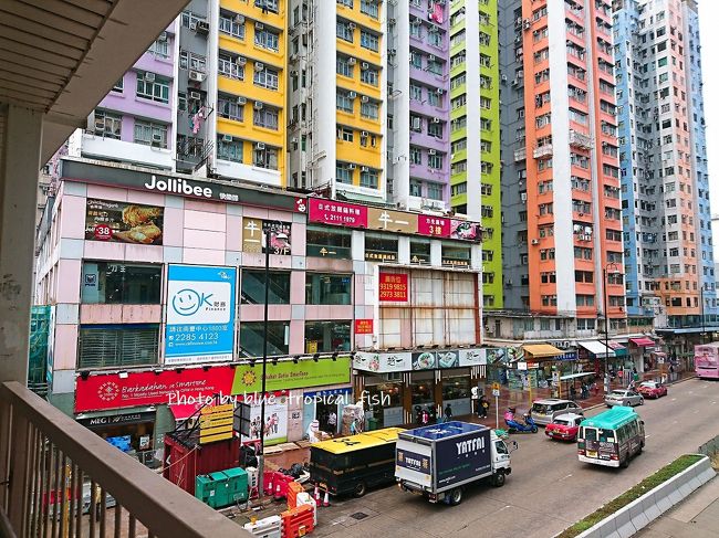 カラフルです。