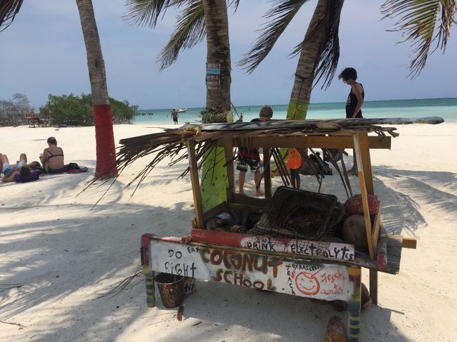 ココナッツスクール？<br />割り方教えてくれるとか？？