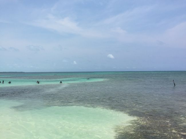 シュノケーリングしている人たち。