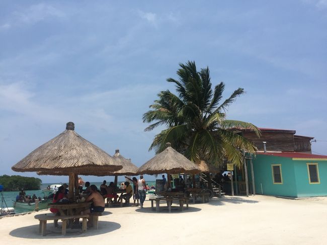 藁ぶき屋根かわいい。