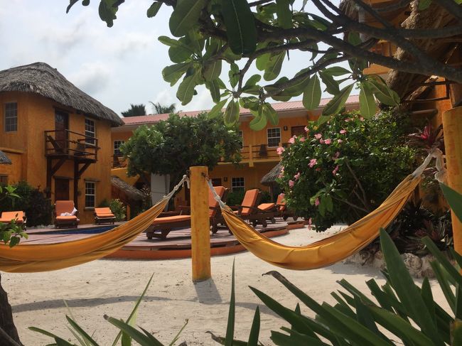 こんなかわいいホテルもあります。