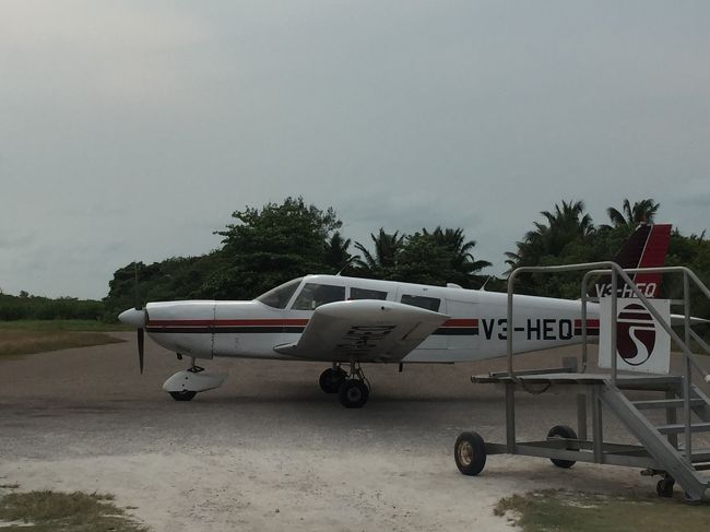 やっとセスナがやってきました。