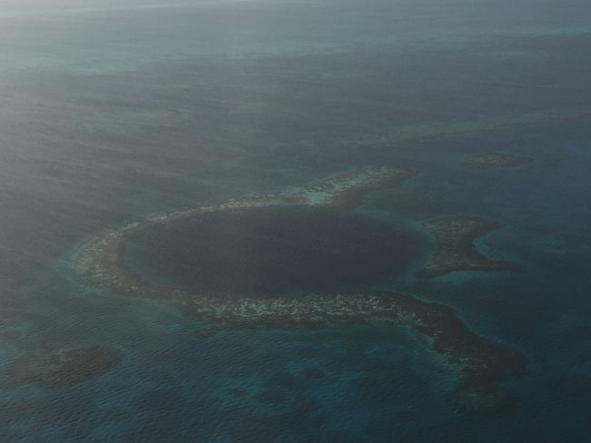 自分の目で見るより、カメラ越しのほうが多かったくらい<br />必死に写真を撮った。