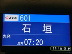 6:35
那覇空港に着きました。

本来なら横浜に強制送還されるべきなのですが、新たに東京行の航空券を購入する所持金がないので、大変恐縮でございますが、石垣島に向かわせて頂きます。
ちなみに、那覇～石垣島の交通機関は、空路しかありません。

皆様、申し訳ございません。
深くお詫び申しあげます。