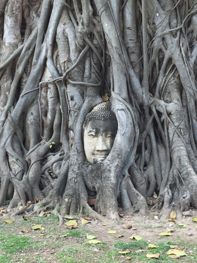 表情を変えているようにも見えるのだが、、<br /><br />不思議だ。