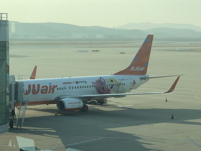 JEJUのピンクポンの機体で帰国しました<br />