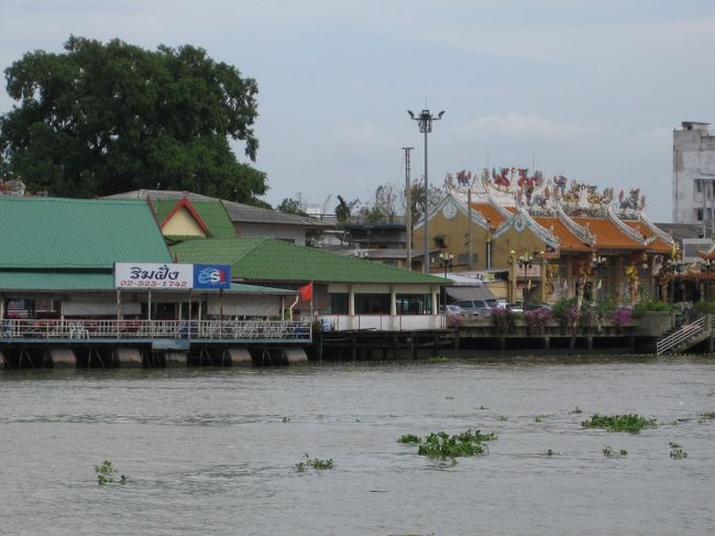 浮草が沢山流れている。