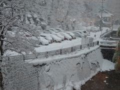 翌朝は起きてみるとかなり雪が積もってました。