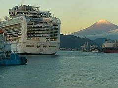 清水港では、花火が上がっていた。
ダイヤモンドプリンス号の、出港の合図みたい。