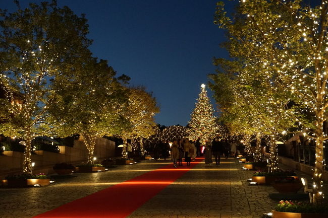 クリスマスのムードあふれるホテルステイ ウェスティン東京 恵比寿 代官山 東京 の旅行記 ブログ By Hot Chocolateさん フォートラベル クリスマスのムードあふれるホテルステイ ウェスティン東京 恵比寿 代官山 東京 の旅行記 ブログ By Hot Chocolateさん フォートラベル