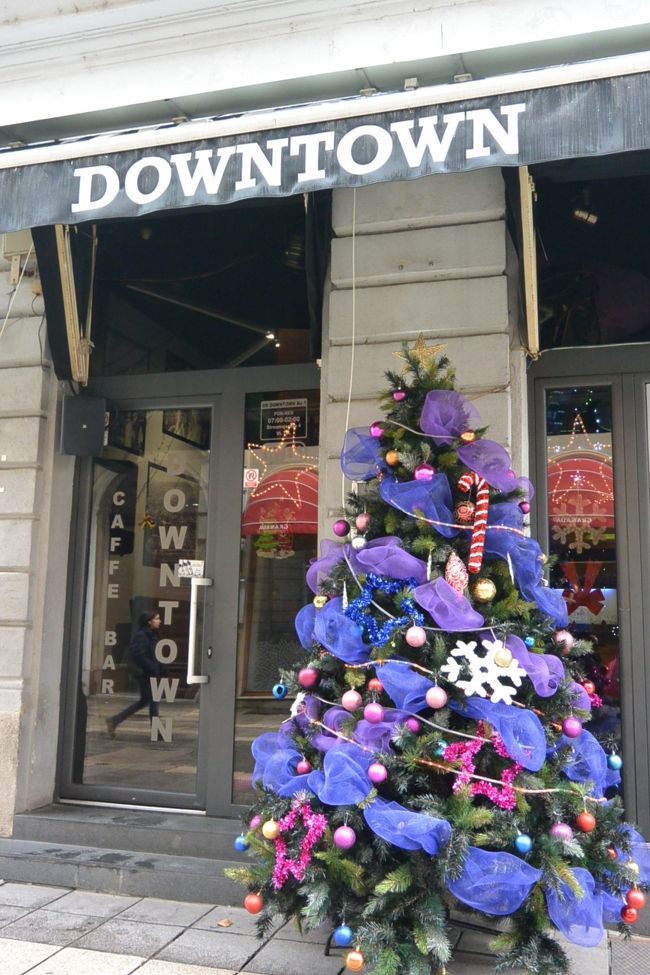 カトリック大聖堂へ続く通りのカフェバーのクリスマスツリー。