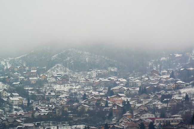 初雪はあっという間に溶けちゃったけど、また雪が降りました。