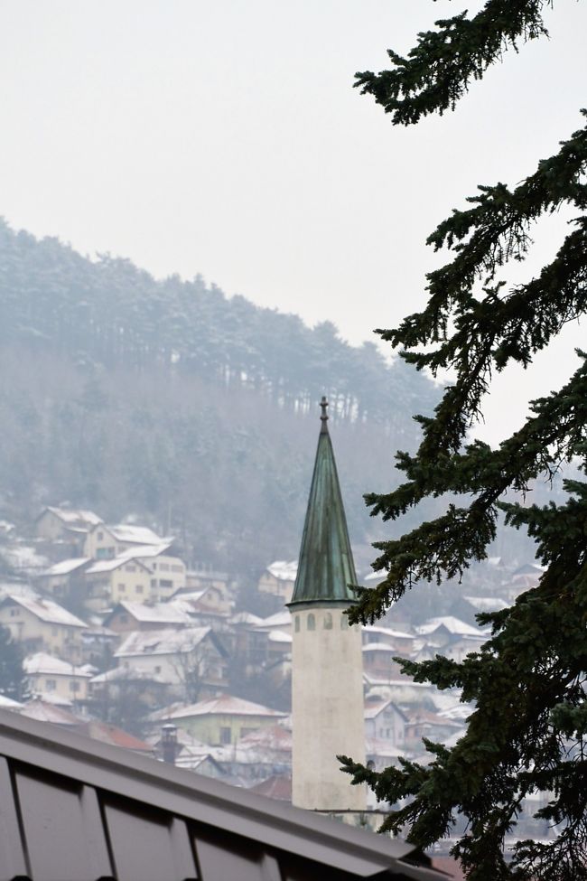 初雪はあっという間に溶けちゃったけど、また雪が降りました。