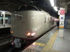 そして一ヶ月後の東京駅にて。
サンライズが入線してきました。