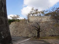 津山城(鶴山公園)